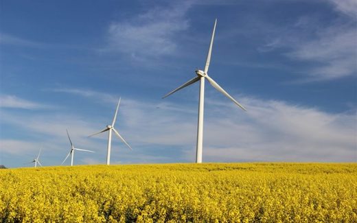 VIDEO Prima TV: Eolienele falimentează satele din Dobrogea