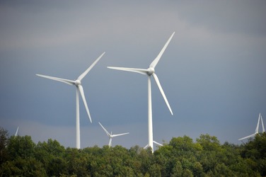 Gigantul de mărfuri Mercuria și dezvoltatorul parcului Cogealac-Fântânele semnează pentru proiecte de energie regenerabilă de 2GW, inclusiv în România