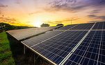 EXCLUSIV Investiții de 300 milioane euro în parcuri fotovoltaice în Oltenia 