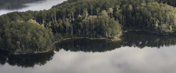 Hidroelectrica – A fost adoptată Legea împotriva "racului invizibil" care blochează investițiile