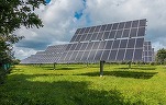 OMV Petrom și Complexul Energetic Oltenia vor construi în comun parcuri fotovoltaice