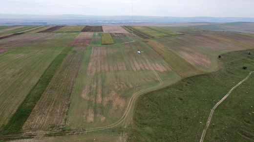 Compania clujeană Finas Group, joint venture cu DTEK Renewables International, cel mai mare investitor privat de energie din Ucraina, în România