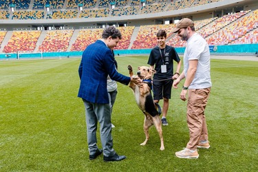 Nicușor Dan vrea să auditeze energetic Arena Națională. Predecesor: ″Consumă cât tot Sectorul 3!″