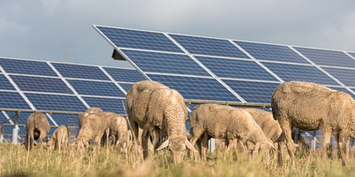 Unde sunt amplasate proiectele solare cumpărate de gigantul francez Total în România