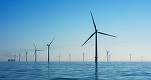 DECIZIE Guvernul a adoptat draftul Legii eolienelor offshore. Ministerul Energiei va avea 3 luni să facă studiu pentru concesionări de perimetre, subvenții, taxe și redevențe