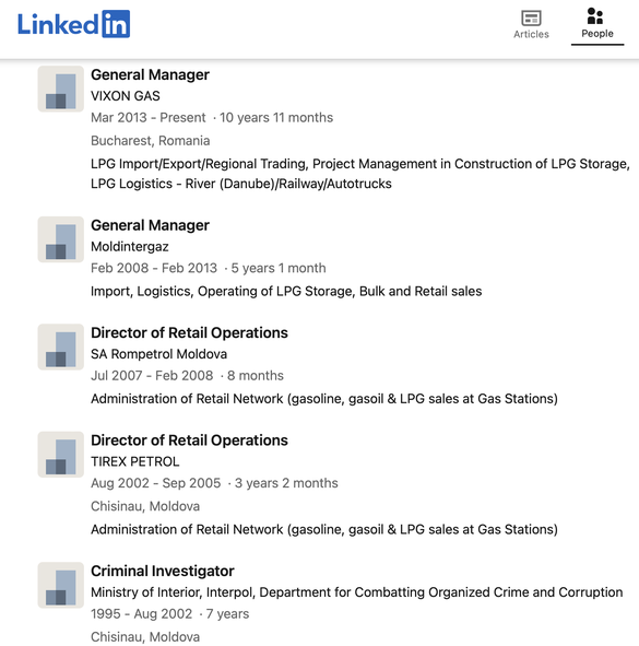 CV-ul managerului general al Vixon Gas (LinkedIn)