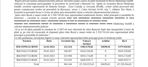 DOCUMENT Al doilea cel mai mare producător de aluminiu al lumii, în spate cu un magnat rus celebru, are de recuperat bani din România