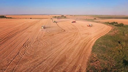VIDEO Unul dintre primii agricultori italieni din România pregătește un parc fotovoltaic de mari dimensiuni în vestul țării