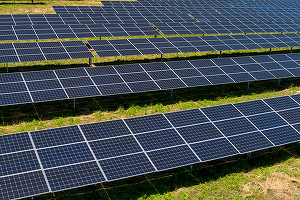 Da Vinci New Project, deținută de Alive Capital, parte a grupului Premier Energy, a obținut o finanțare de 7,5 milioane euro pentru construirea unui parc fotovoltaic în Teleorman