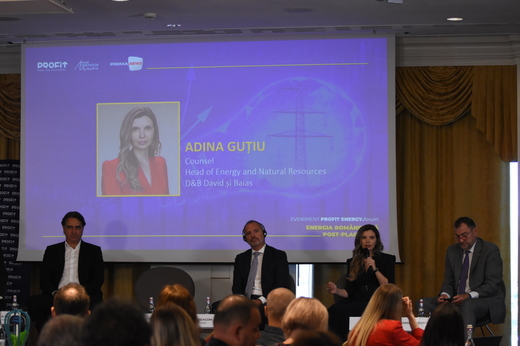 VIDEO Profit Energy.forum - Adina Guțiu, D&B David și Baias: Regulamentul UE pentru reducerea emisiilor de metan ale producătorilor de hidrocarburi va fi greu de aplicat în cazul importurilor. Risc să fie afectate mai puternic unele companii, cum sunt cele din România