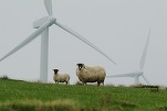 FOTO Danezii de la Eurowind Energy aduc în România cele mai mari turbine eoliene construite până acum