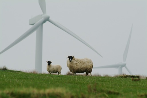 FOTO Danezii de la Eurowind Energy aduc în România cele mai mari turbine eoliene construite până acum