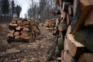 Ministrul Mediului: România nu va renunța la lemnul de foc ca sursă de încălzire