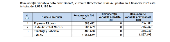 TABELE Șefii Romgaz au fost remunerați dublu anul trecut, comparativ cu 2023. Bonusurile se acordă cu un an întârziere, iar pentru 2019-2022 nu s-au dat deloc