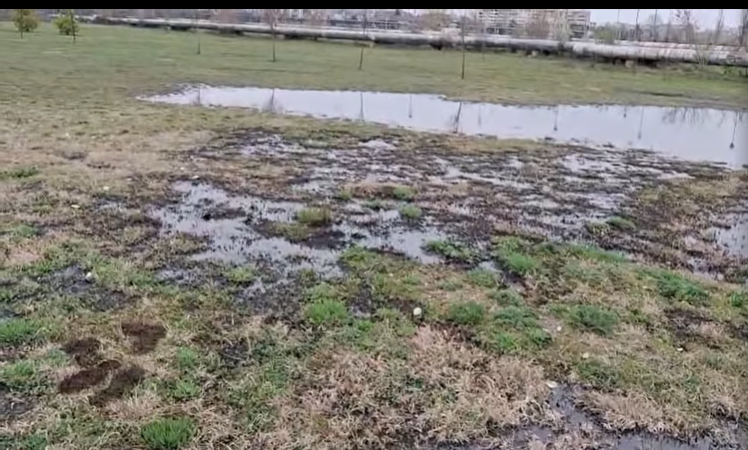 O conductă de petrol a Conpet s-a spart și a poluat o porțiune din Parcul Municipal Ploiești Vest