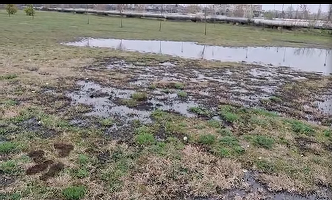 O conductă de petrol a Conpet s-a spart și a poluat o porțiune din Parcul Municipal Ploiești Vest