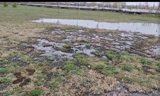 O conductă de petrol a Conpet s-a spart și a poluat o porțiune din Parcul Municipal Ploiești Vest