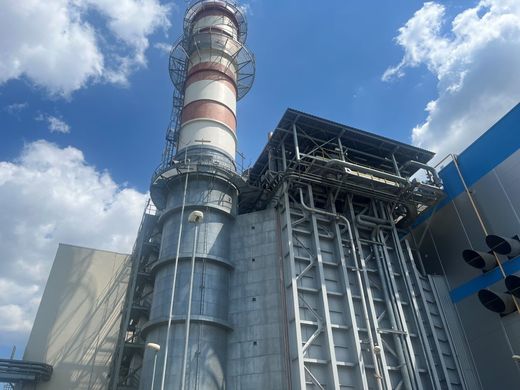 ELCEN a scos la licitație un contract de 2,6 milioane de euro pentru pază și intervenție timp de un an
