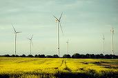 FOTO Etapă importantă pentru Eurowind Energy România: trei noi parcuri eoliene cu o capacitate totală de 138 MW, echipate cu turbine Vestas