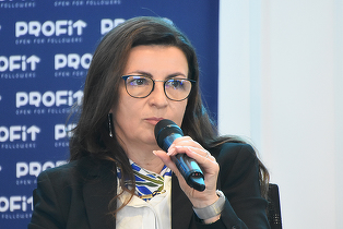 VIDEO Dezastru - Doar 10-15% dintre proiectele din România în energie regenerabilă vor fi vreodată construite. Lăcrămioara Diaconu-Pințea, Vicepreședinte OX2 România: Restul rămân pe hârtie! - Profit Energy.forum

