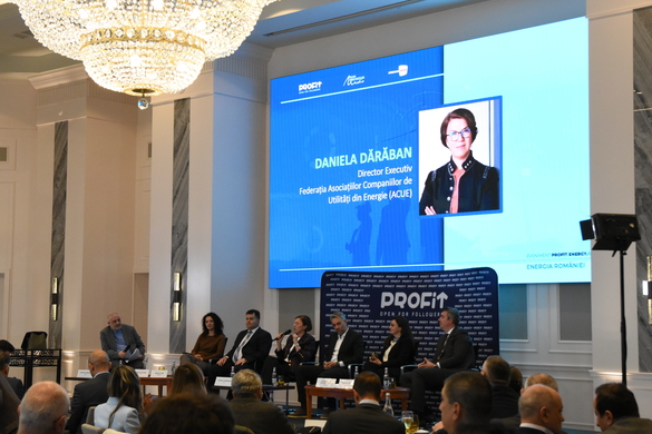 VIDEO Nici marțieni, nici blackout, dar epoca energiei ieftine a luat sfârșit. Persistă însă așteptările nerealiste - Profit Energy.forum