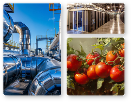 Cel mai mare complex de sere hidroponice din România. Green Tech International începe lucrările la primul proiect 