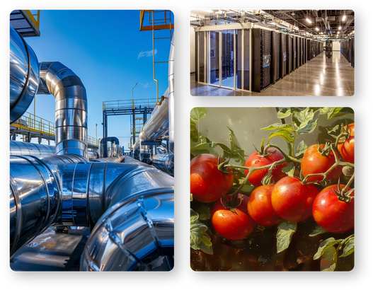 Cel mai mare complex de sere hidroponice din România. Green Tech International începe lucrările la primul proiect 