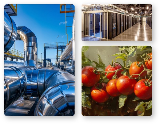 Cel mai mare complex de sere hidroponice din România. Green Tech International începe lucrările la primul proiect 