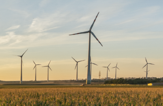 FOTO Austriecii de la Verbund apelează la români pentru stocare de energie la parcul lor eolian din Tulcea