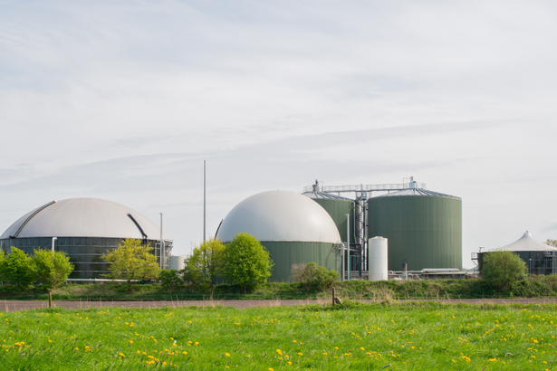 Biometan în rețelele de gaze naturale ale României, cum va fi injectat. Statul vrea să prevină majorarea tarifelor de transport și distribuție