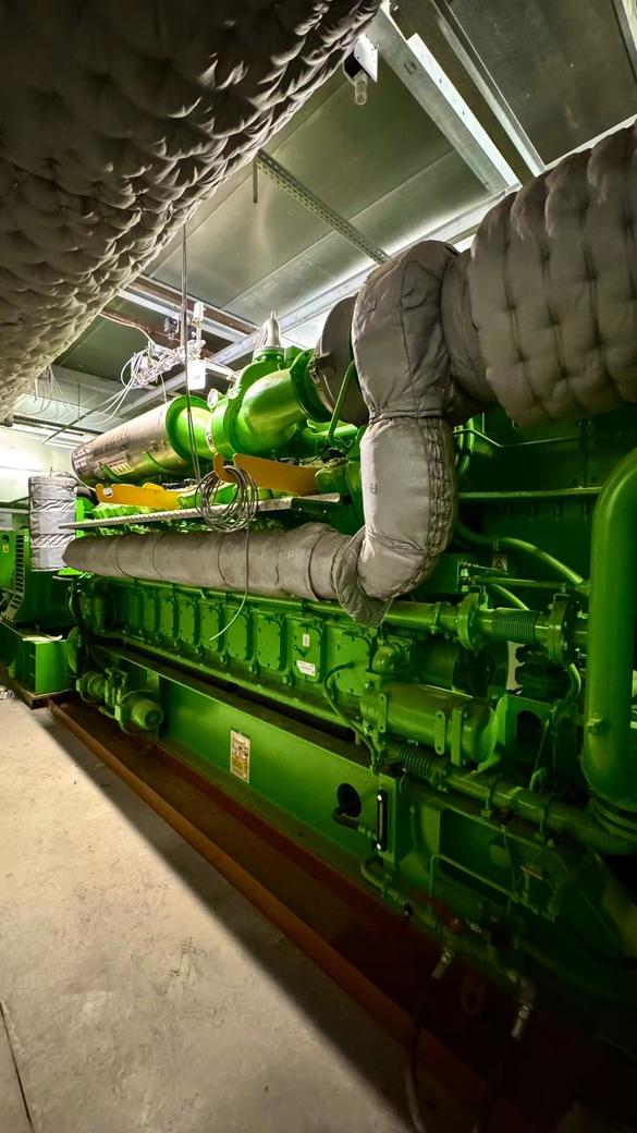 EXCLUSIV PREMIERĂ Un mare cultivator de roșii din România devine producător de energie. Va livra în rețea surplusul 