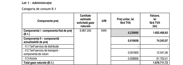 DOCUMENT Statul va cumpăra ″la grămadă″ peste 1 milion MWh de gaze naturale, după ce a luat centralizat energie. Preț-țintă egal cu plafonul actual