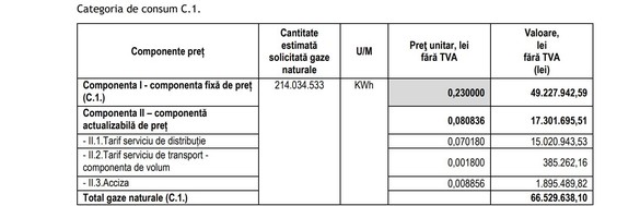 DOCUMENT Statul va cumpăra ″la grămadă″ peste 1 milion MWh de gaze naturale, după ce a luat centralizat energie. Preț-țintă egal cu plafonul actual