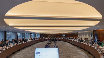 FOTO România a cerut oficial să devină membră a Agenției Internaționale pentru Energie