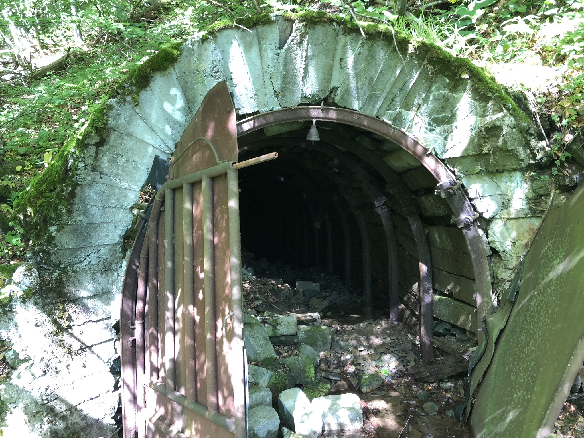 Materii prime critice descoperite în România. Canadienii de la Leading Edge au depus CPR pentru proiectul de minerale critice Bihor Sud și vor să atragă noi investitori