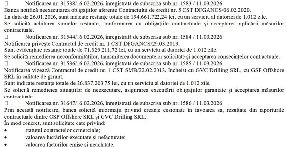 Sursă: BPI