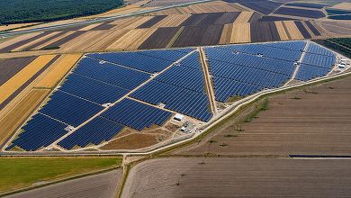 Parc solar vândut de nepotul lui Marcel Ciolacu, beneficiar de subvenții PNRR, a intrat în probe de producție CONFIRMARE