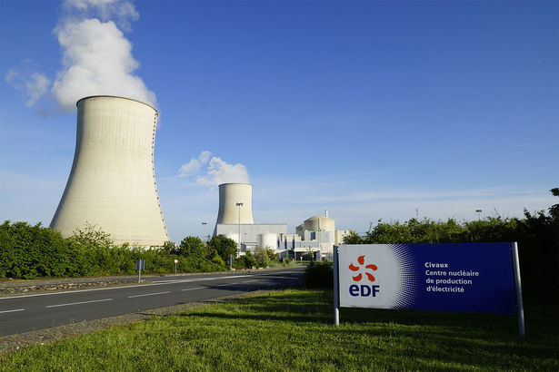 INEDIT Meduzele au oprit 3 reactoare ale unei centrale nucleare, în Franța