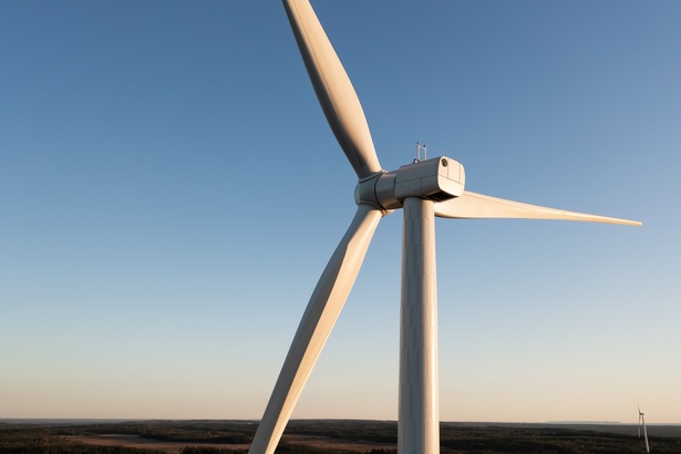 Investiție în România. Norvegienii de la Scatec au obținut finanțare pentru parcul eolian Urleasca de 77 MW și încep construcția. Investiție de 168 milioane euro