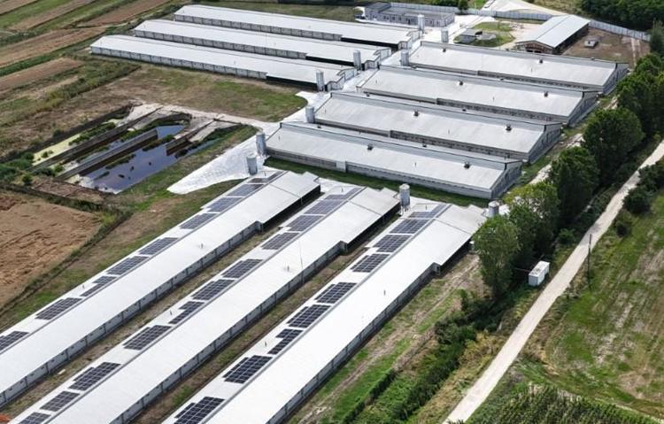 FOTO Carmistin își adaugă peste 7 MW de putere de producție de energie fotovoltaică pentru autoconsum, cu fonduri UE nerambursabile