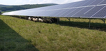 Centrală agrivoltaică de zeci de MW la Vatican