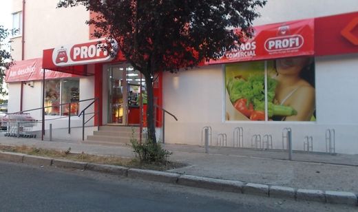 Rețeaua Profi a depășit 10.000 de angajați