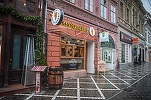 După 12 ani, frații Comăniciu, foști proprietari ai Delaco, își relansează afacerea cu cartofi prăjiți și pregătesc restaurante în centrul Bucureștiului