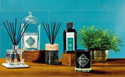 Aromele care ne parfumează locuința și viața