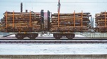 România a exportat, în primele două luni, lemn și plută în valoare de circa 90 milioane euro
