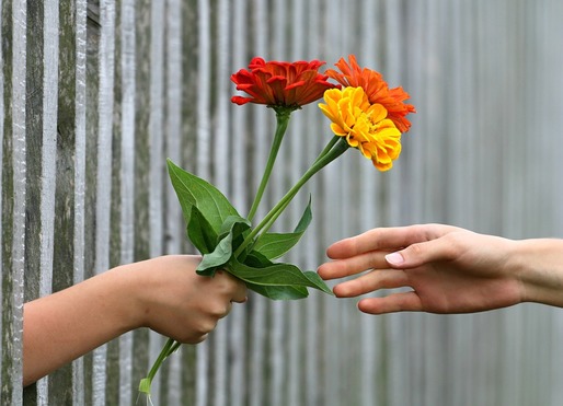 Ziua Femeii...înflorește afacerile cu flori. Topul jucătorilor și ce cumpără românii