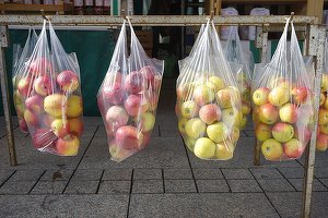 Parlamentul german a decis interzicerea pungilor din plastic începând din 2022