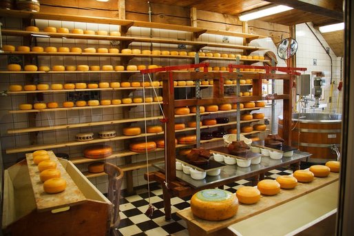Afacerile producătorilor de lactate și brânzeturi din România au crescut 