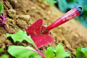 Creștere de până la 100% la produsele pentru casă și grădină. Grătarele și uneltele de grădinărit, în topul achizițiilor