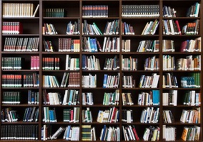 Parlamentul francez a adoptat o lege ce susține librăriile în fața giganților comerțului electronic